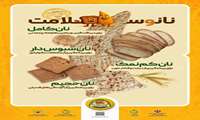 پویش ملی اطلاع رسانی نانوسلامت برگزار می شود 
